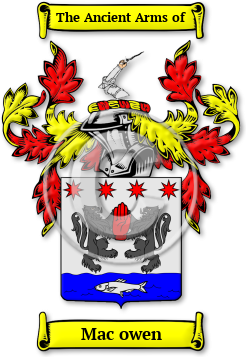 Mac owen Family Crest Download (jpg) Legacy Series - 150 DPI